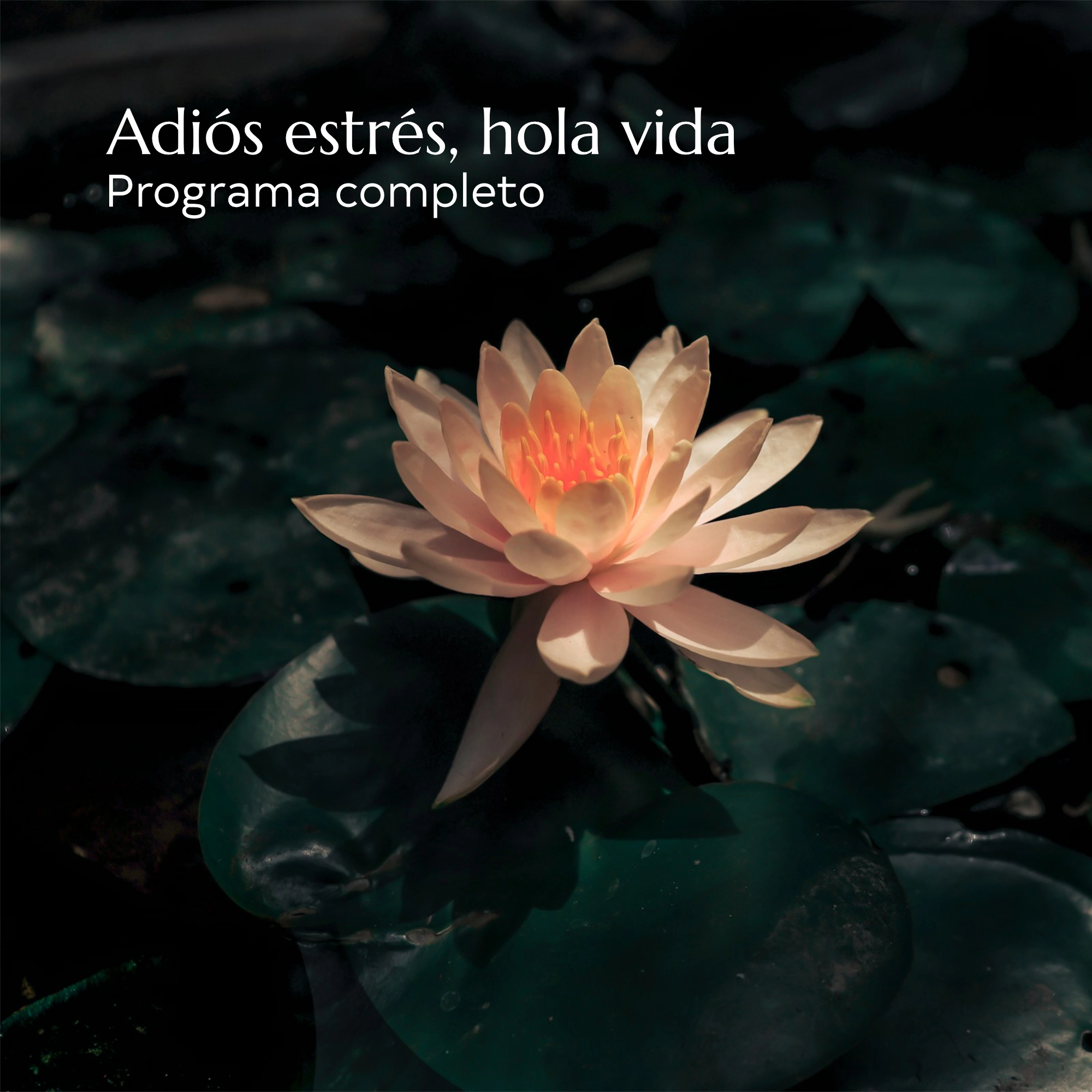 Adiós estrés, hola vida. Programa completo