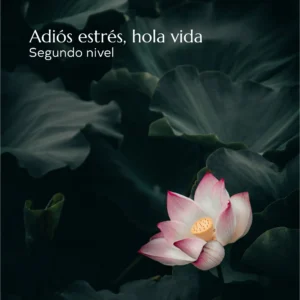 Adiós estrés, hola vida. Segundo nivel