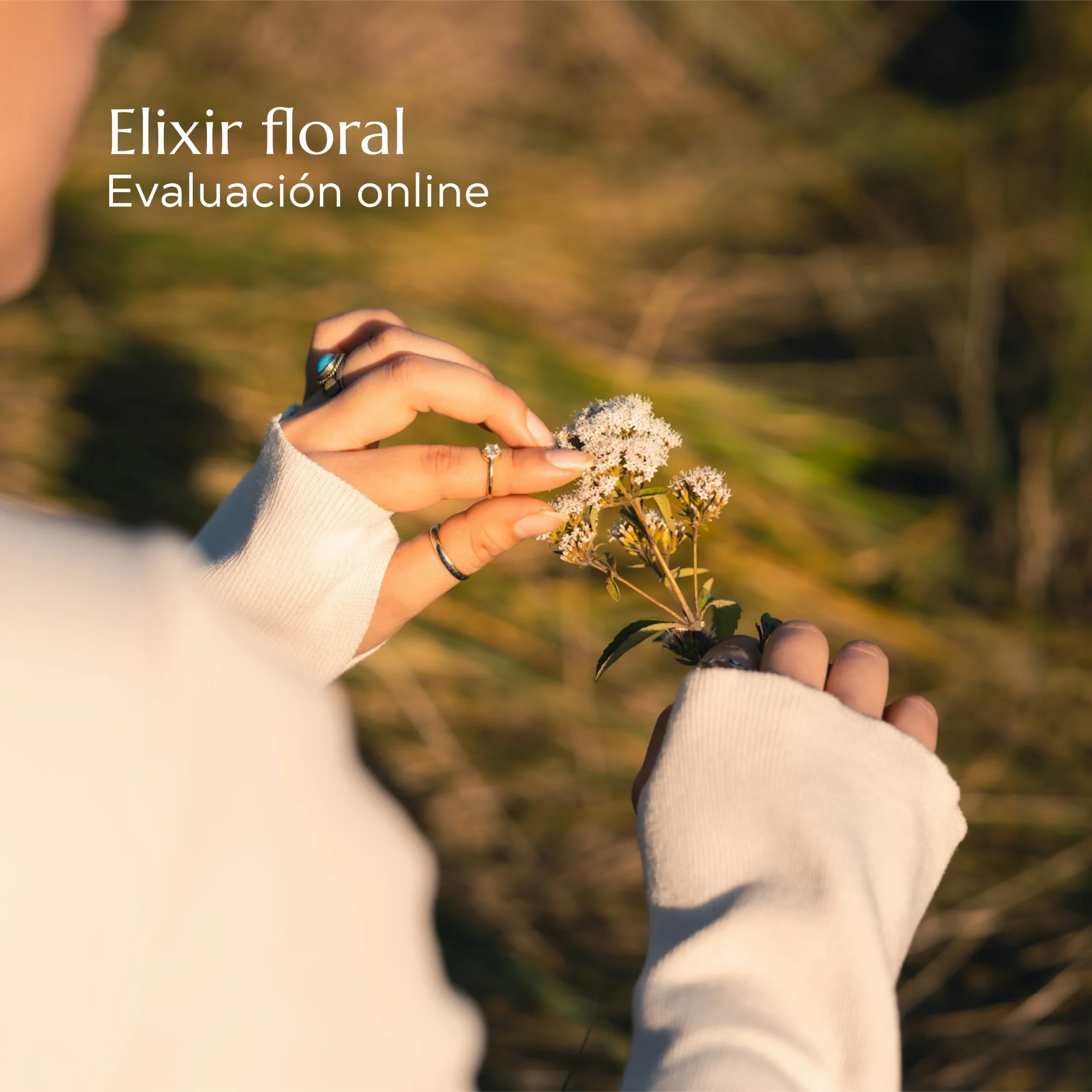 Evaluación personal para el elixir floral
