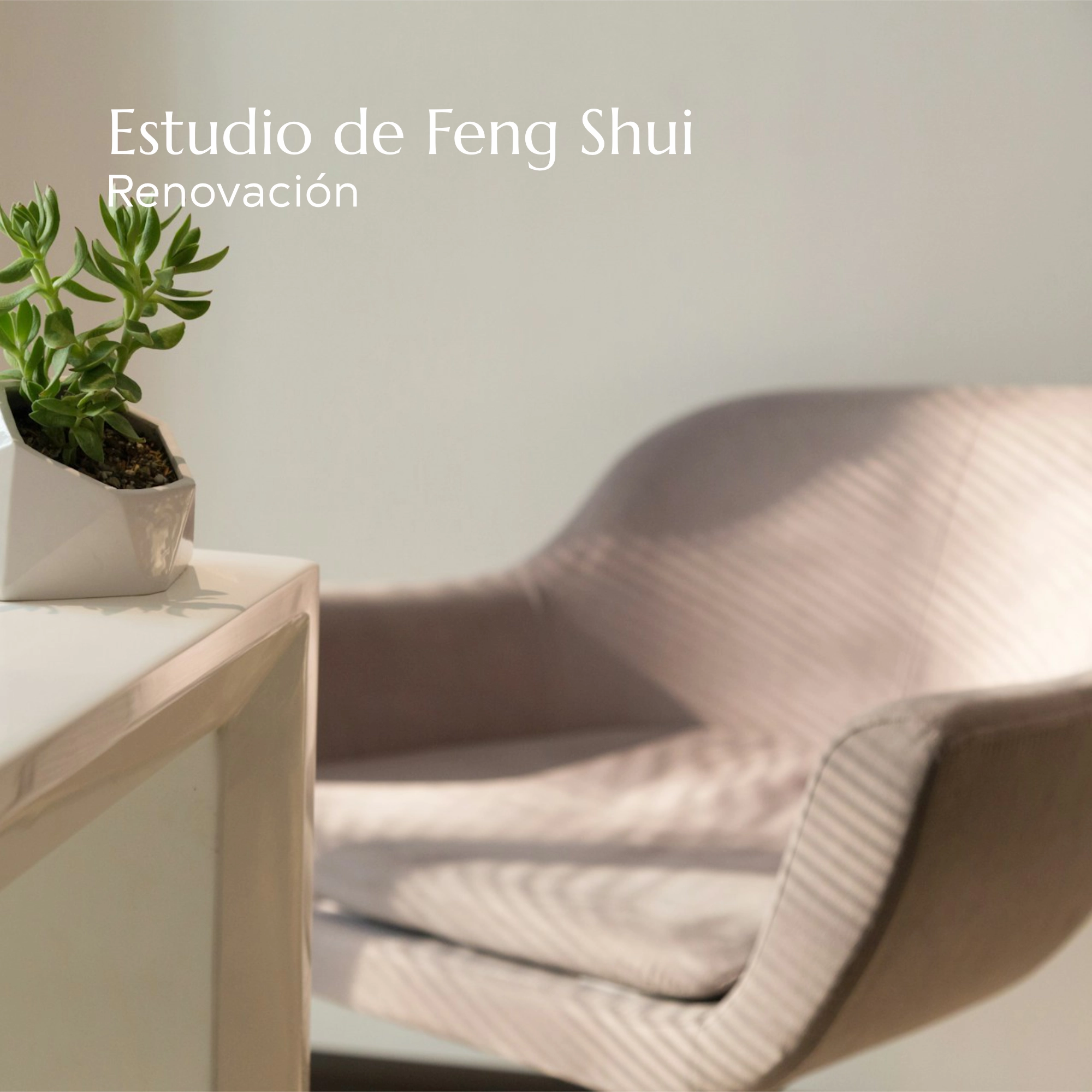 Renovación del estudio de Feng Shui online