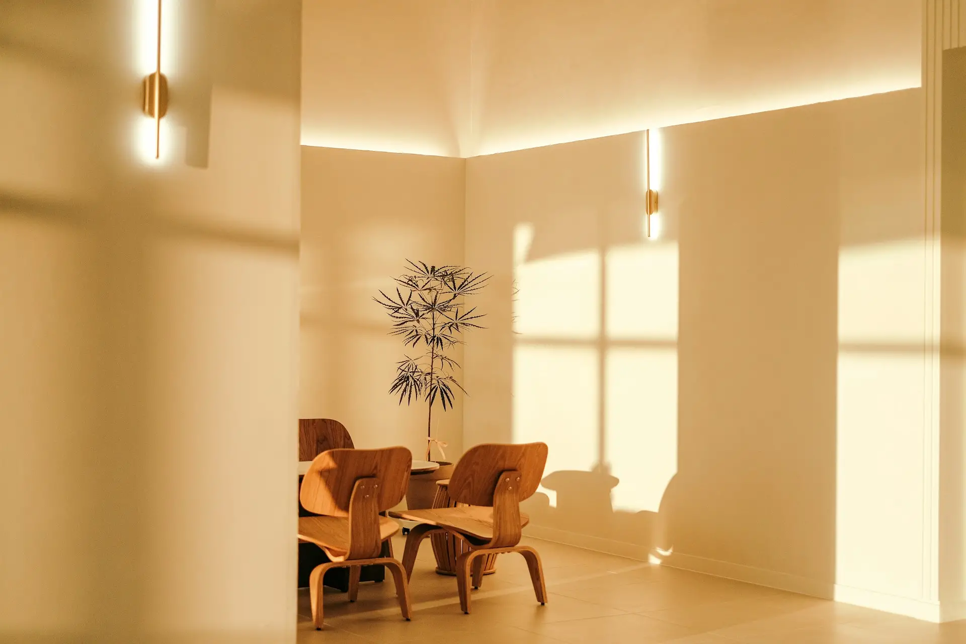 Estudio de Feng Shui